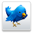 Bizi Twitterdan Takip Edin