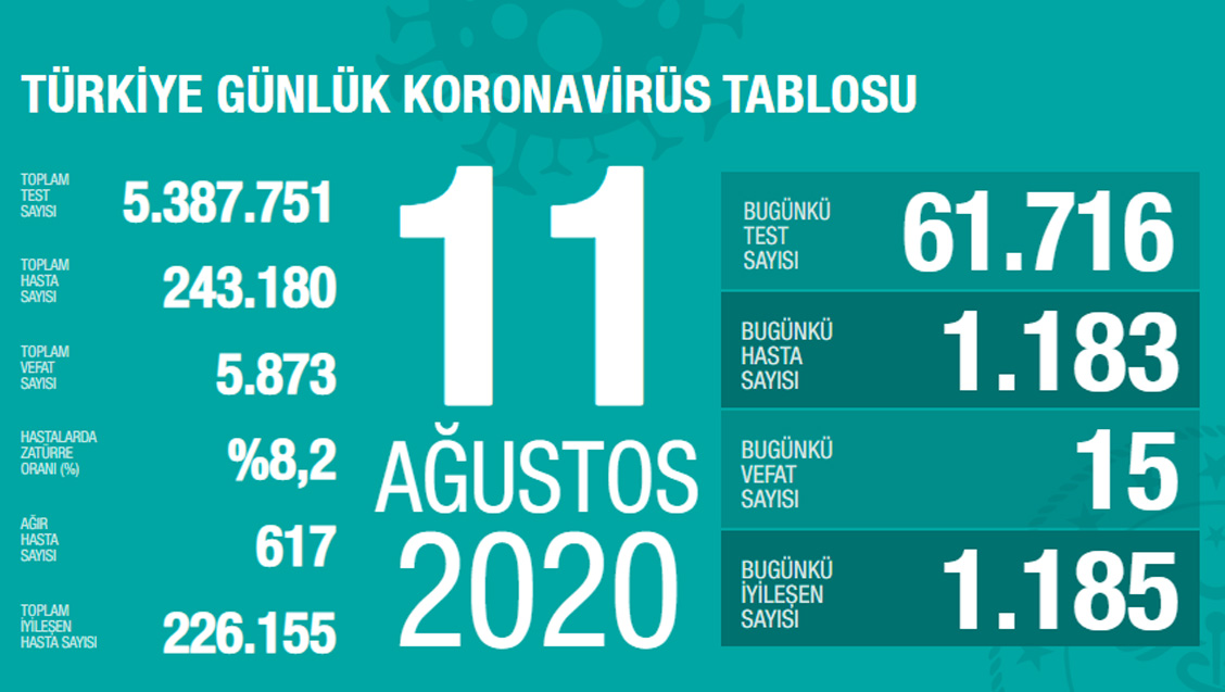 Sağlık Bakanlığı Türkiye'de Tespit Edilen Koronavirüs Olgu Sayısının 243.180'e Yükseldiğini Açıkladı