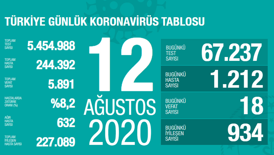 Sağlık Bakanlığı Türkiye'de Tespit Edilen Koronavirüs Olgu Sayısının 244.392'ye Yükseldiğini Açıkladı