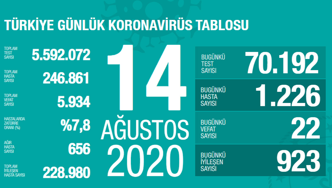 Sağlık Bakanlığı Türkiye'de Tespit Edilen Koronavirüs Olgu Sayısının 246.861'e Yükseldiğini Açıkladı