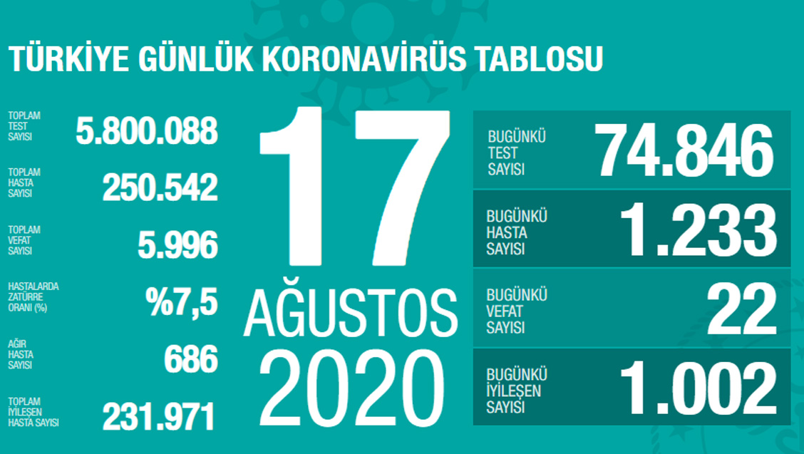 Sağlık Bakanlığı Türkiye'de Tespit Edilen Koronavirüs Olgu Sayısının 250.542'ye Yükseldiğini Açıkladı